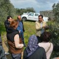 Doğru Tarımsal Üretim İçin Teorik Ve Uygulamalı Eğitim