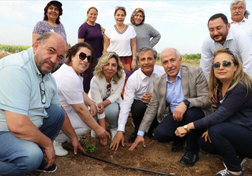AKDENİZ’DE ŞEKER OTU (STEVİA) BİTKİSİ YETİŞTİRİLECEK
