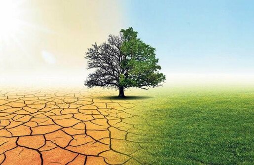 Birleşmiş Milletler, 'iklim değişikliğini engelleme' çabalarıyla ilgili rapor yayımlayacak