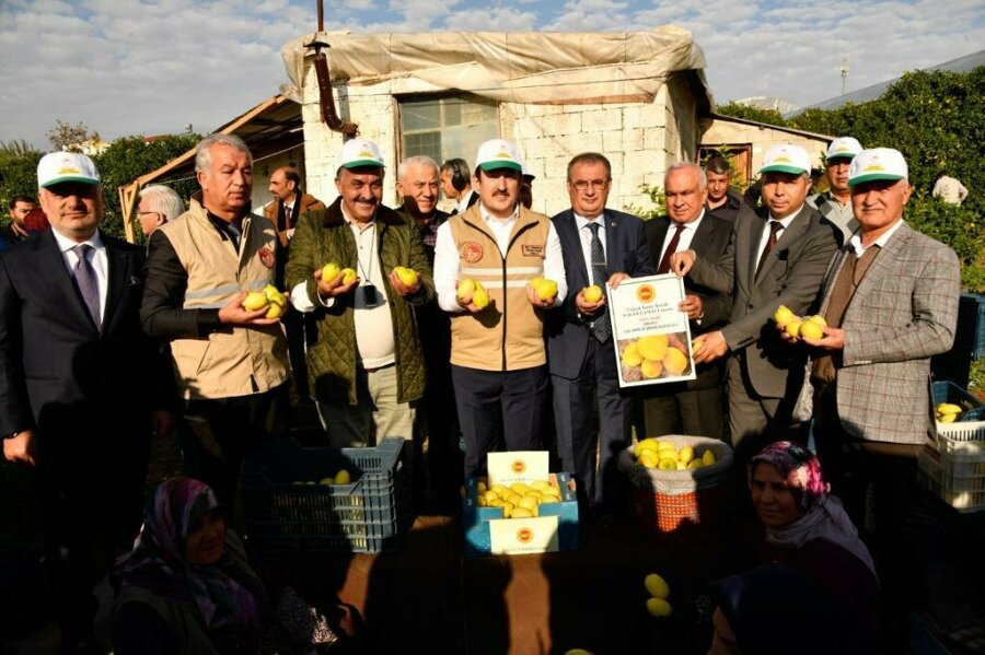 ERDEMLİ'de  Lamas Limonu Hasadı Başladı