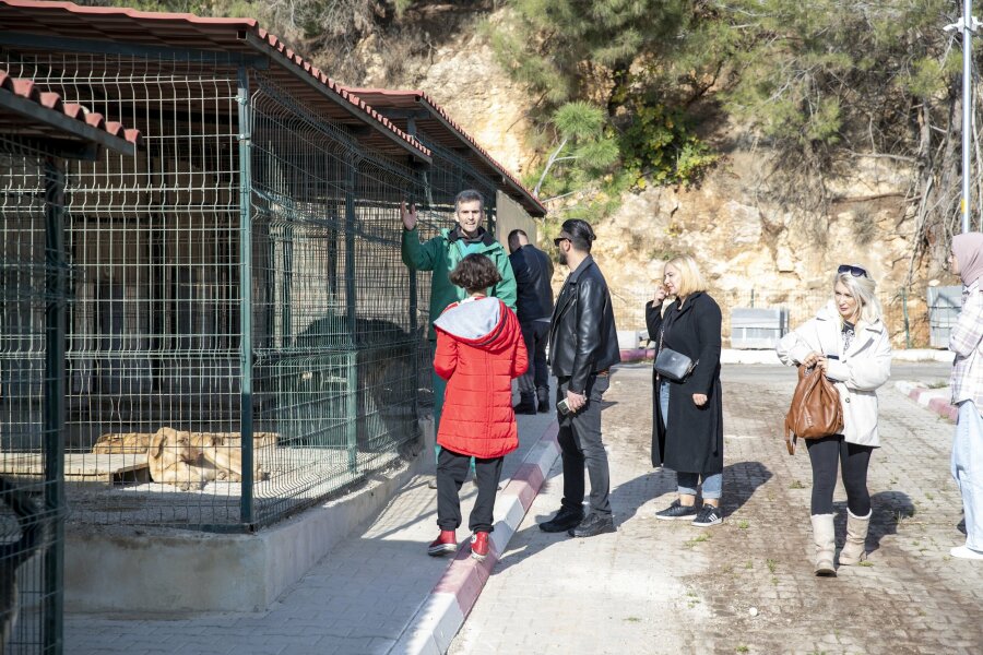 Büyükşehir’in Barınağı Hayvanseverlerden Tam Not Aldı