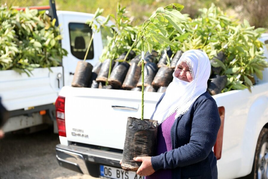 Mersin Büyükşehir’den Toroslar, Mezitli ve Yenişehir’deki 105 Üreticiye Avokado ve Alıç Fidanı